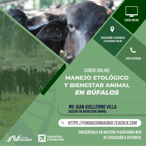 Imagen del curso Manejo Etológico y Bienestar Animal en Búfalos