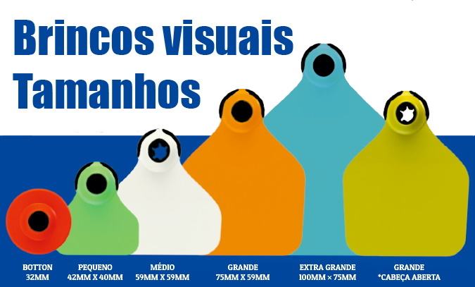 Imagen de Kit Aretes Personalizados MEDIANOS (25 Unidades) – AnimallTag